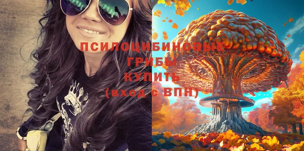 метадон Мегион