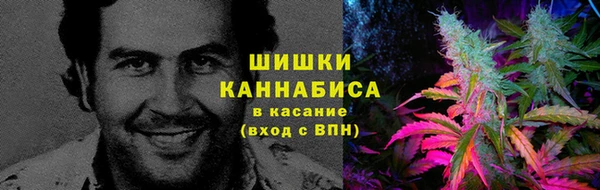 индика Домодедово