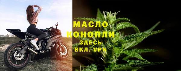 индика Домодедово
