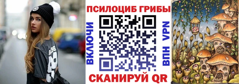 сколько стоит  Черногорск  Псилоцибиновые грибы Psilocybine cubensis 