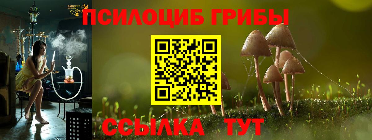 Галлюциногенные грибы GOLDEN TEACHER  Вход с VPN  Псилоцибиновые грибы ЛСД  Черногорск 