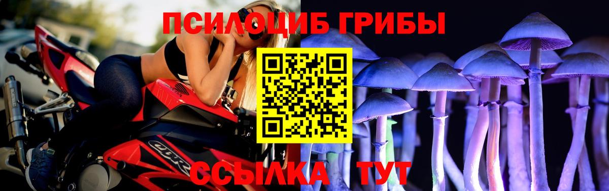 Галлюциногенные грибы GOLDEN TEACHER Черногорск